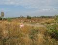 Wandeling van Monke en Judith op 21-10-2012 (31)